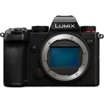 Бездзеркальний фотоапарат Panasonic Lumix DC-G100 kit 12-32 f/3.5-5.6 Body / на складі DC-G100 фото