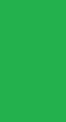Тло тканинної зеленого 2,7х5,0 м / на складі зеленый 2,7х5,0 м фото