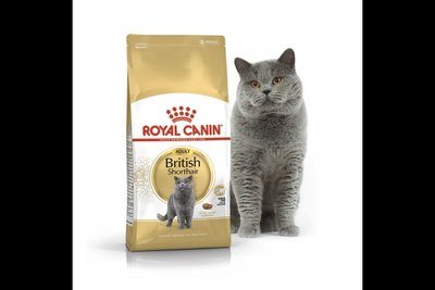 Корм для дорослих котів ROYAL CANIN BRITISH SHORTHAIR ADULT 10.0 кг 2060155173 фото