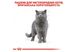 Корм для взрослых котов ROYAL CANIN BRITISH SHORTHAIR ADULT 10.0 кг 2060155173 фото 3