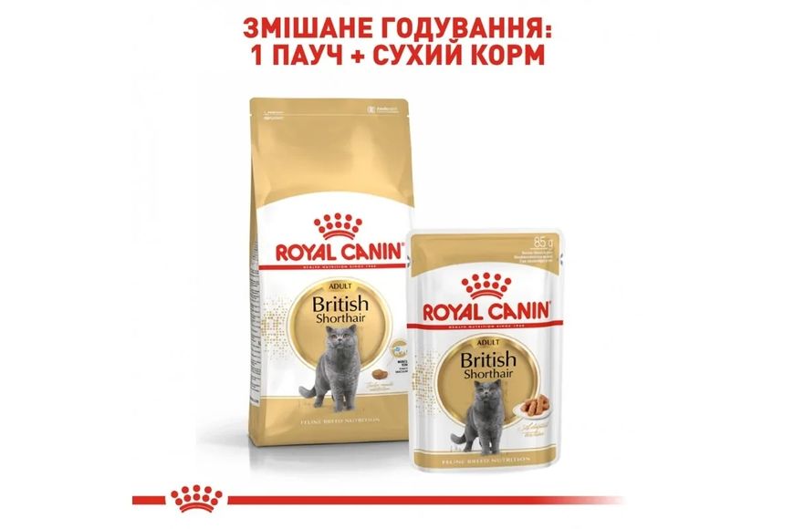 Корм для дорослих котів ROYAL CANIN BRITISH SHORTHAIR ADULT 10.0 кг 2060155173 фото